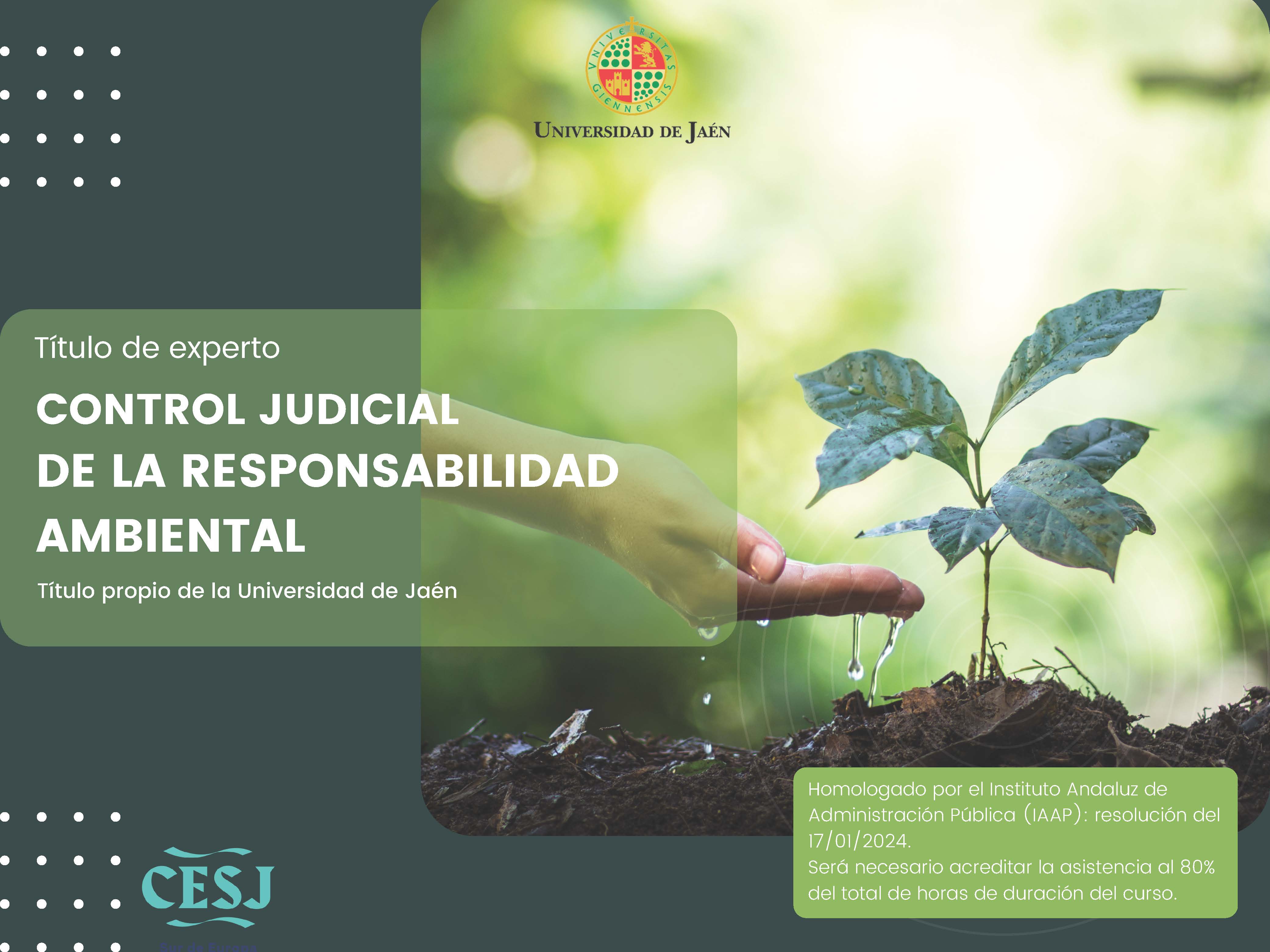 Título de Experto - Control Judicial de la Responsabilidad Ambiental