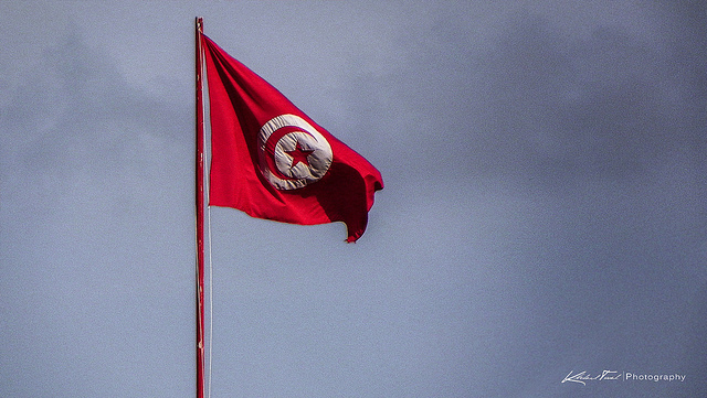 La Tunisie entre démocratie et particratie